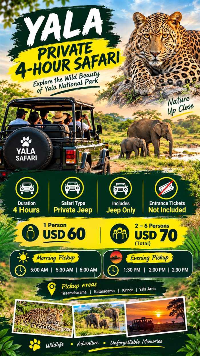 Private jeep option for a four-hour Yala National Park safari