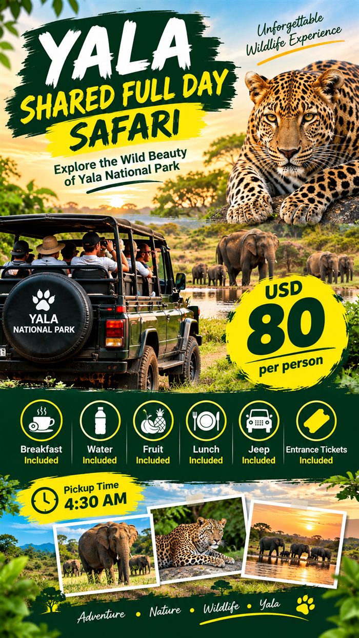 Shared full-day 4x4 safari in Yala National Park