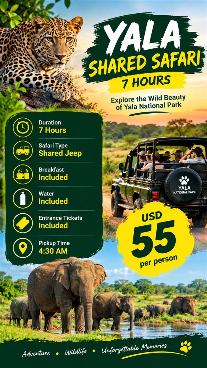 Shared 4x4 jeep safari in Yala National Park